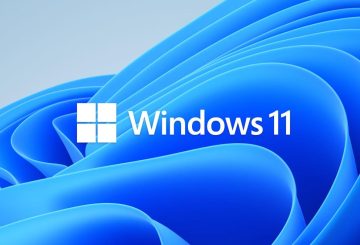 Windows 11 dual boot format